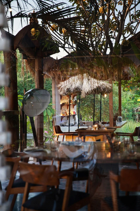Seed Restaurant